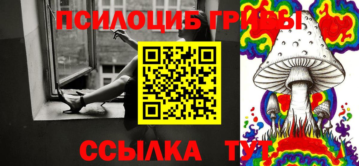 Псилоцибиновые грибы GOLDEN TEACHER  купить наркоту  Галлюциногенные грибы Psilocybe  Санкт-Петербург  Вход с VPN 