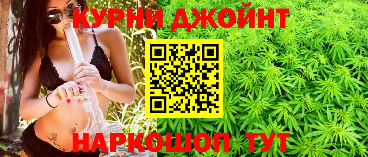 Каннабис индика Санкт-Петербург